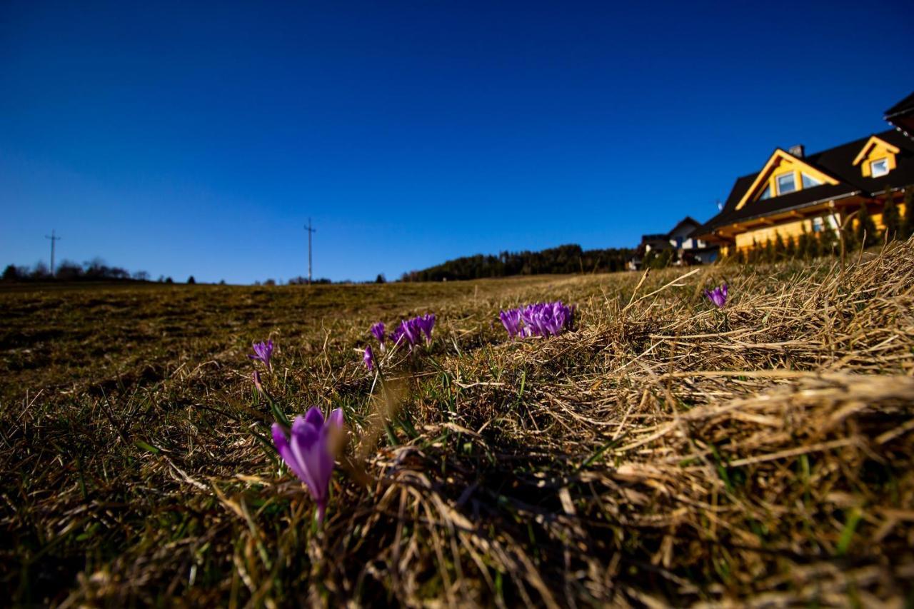 Em Gorce Resort Domki Z Sauna I Jacuzzi Waksmund Bagian luar foto